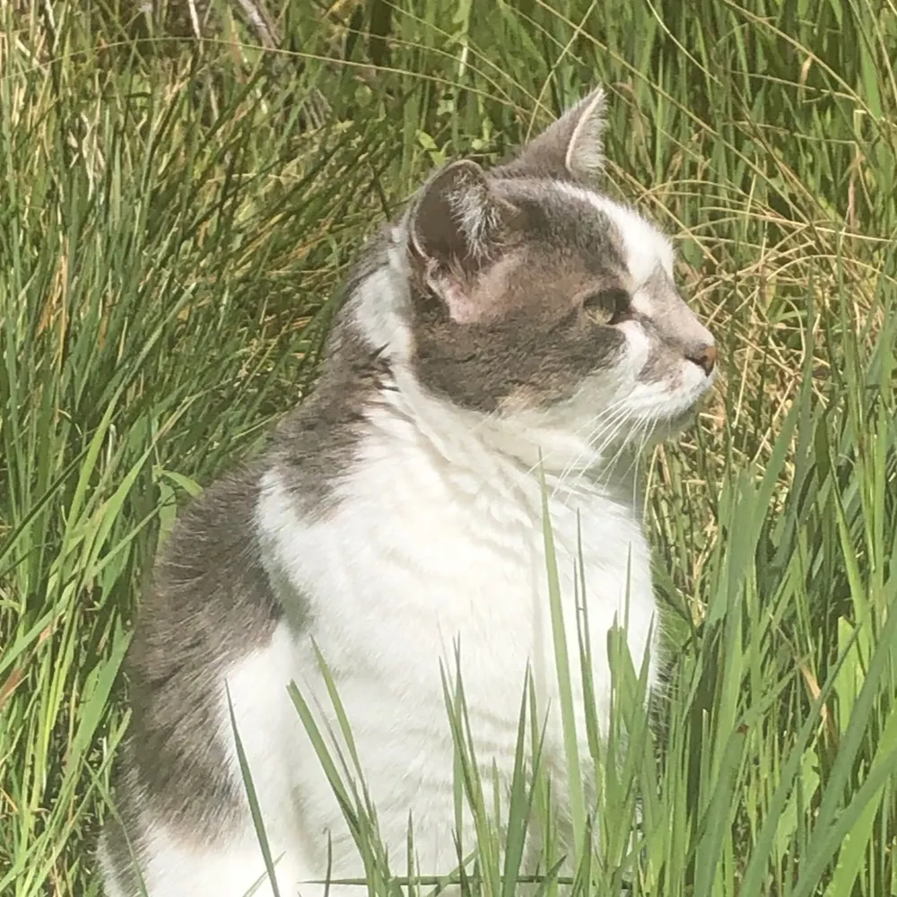 doclt.bsky.social's profile picture