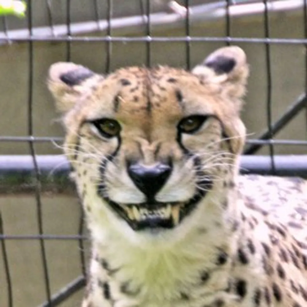 hyperentity.bsky.social's profile picture