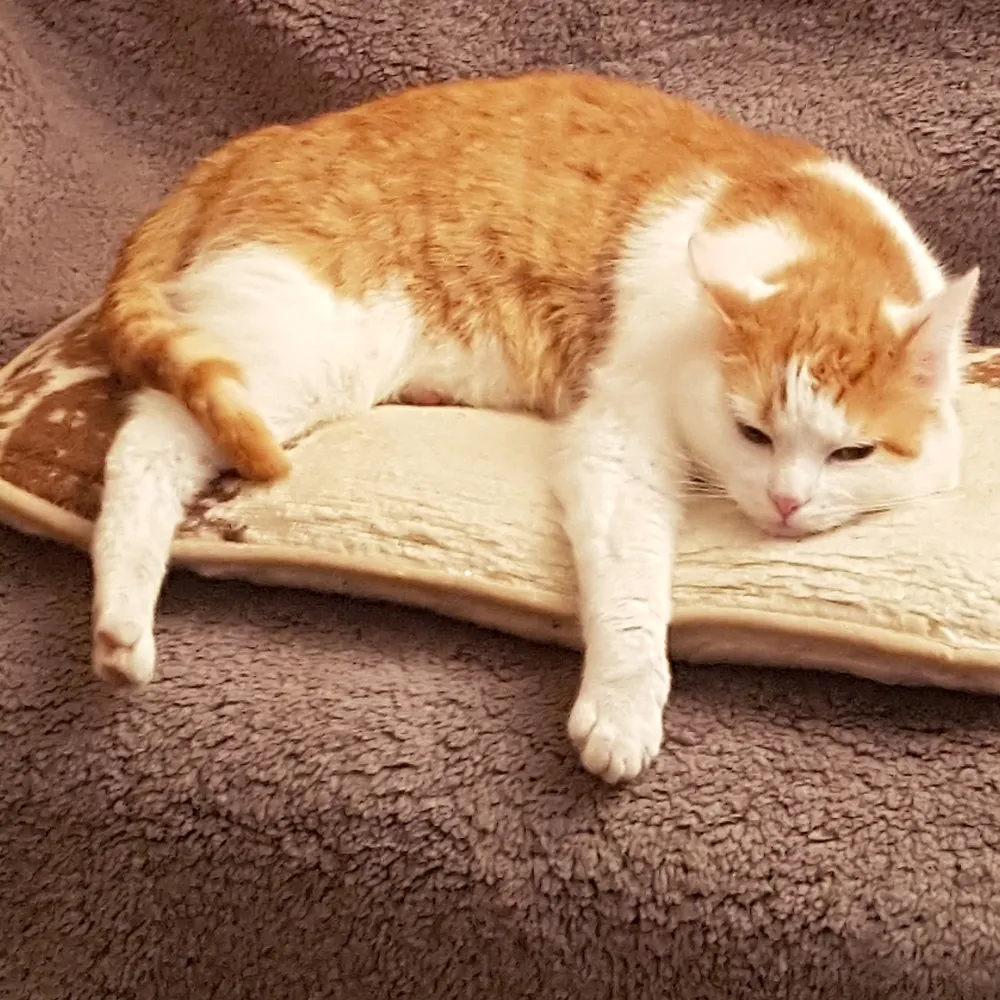 s3rp86.bsky.social's profile picture