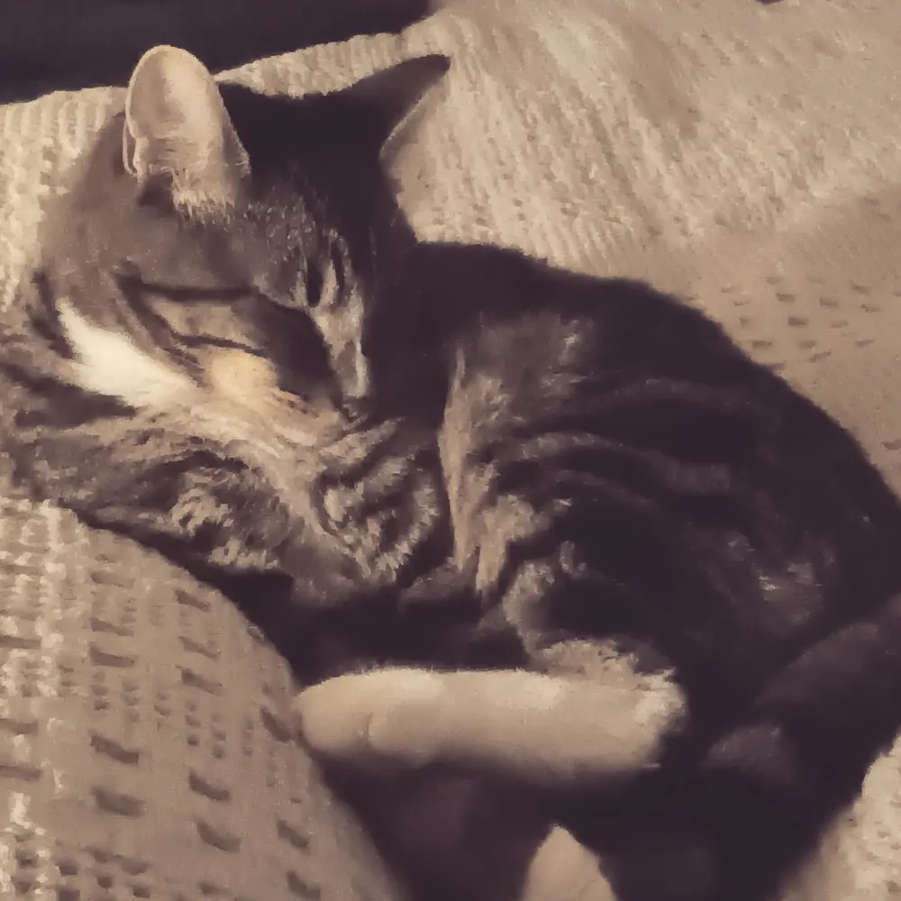 gardengallivant.bsky.social's profile picture