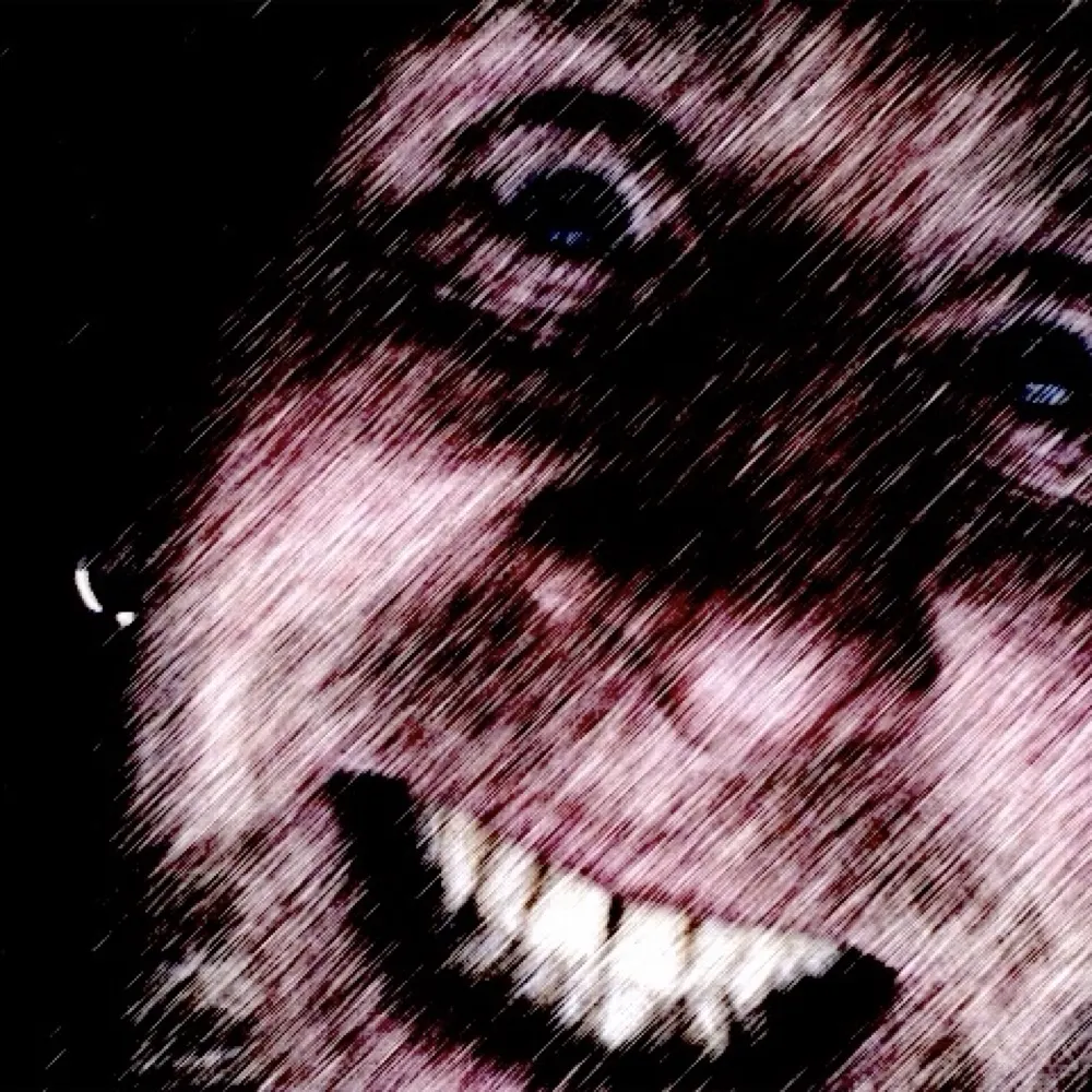 andy-lion.bsky.social's profile picture