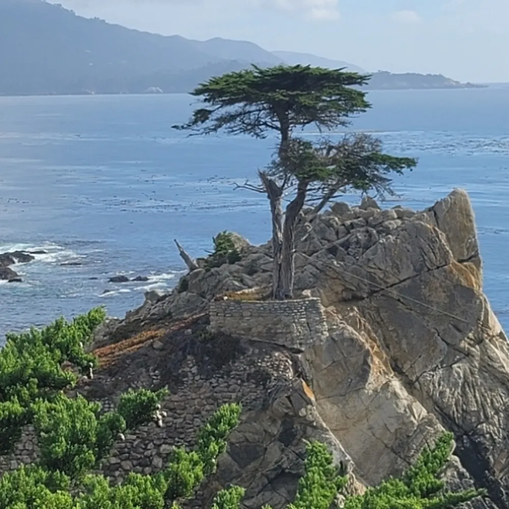 aprivateguy.bsky.social's profile picture