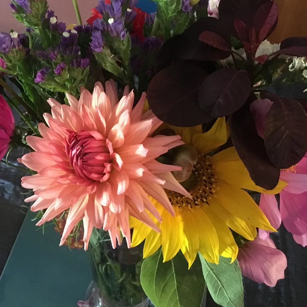 lostgoth.bsky.social's profile picture