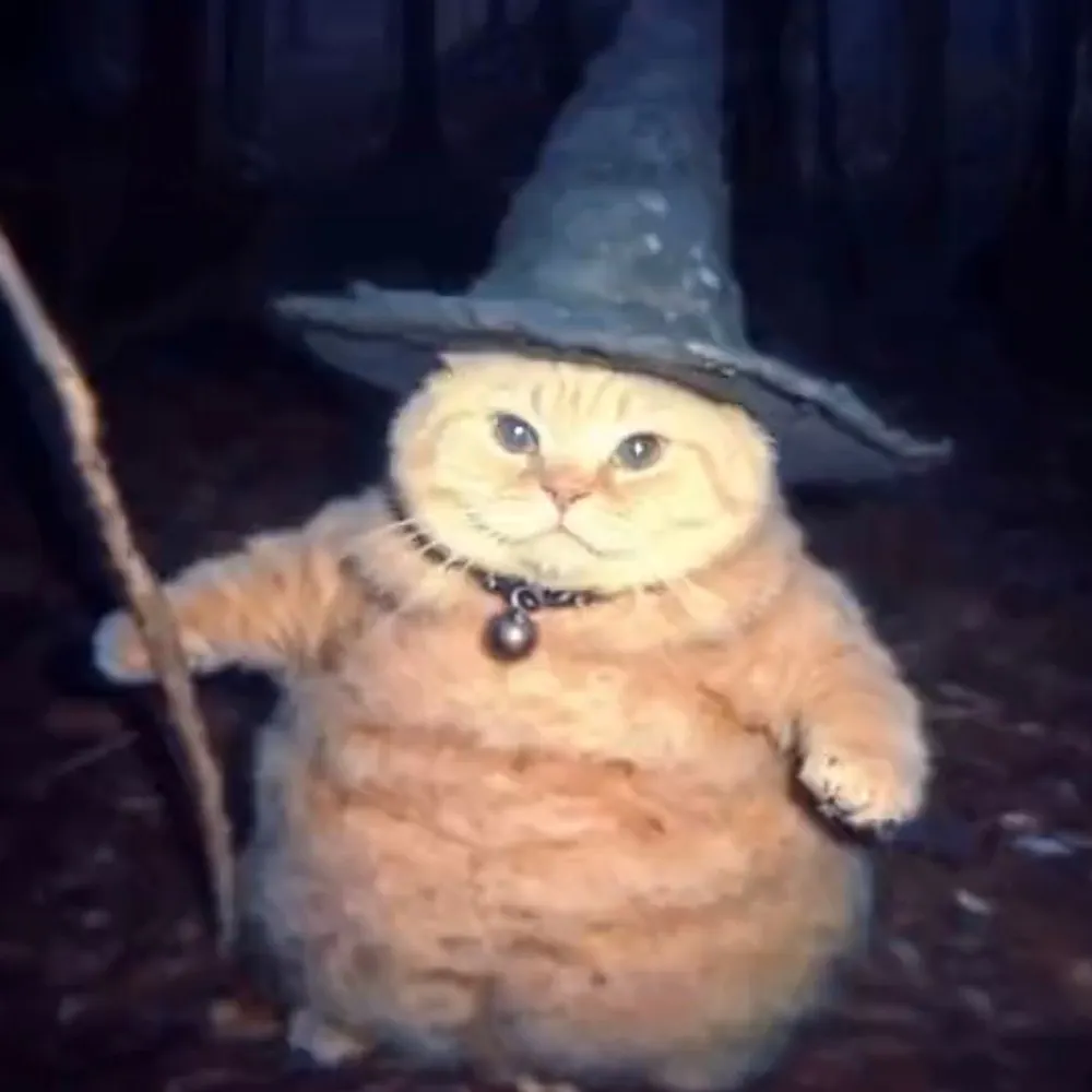 catwizard.bsky.social's profile picture