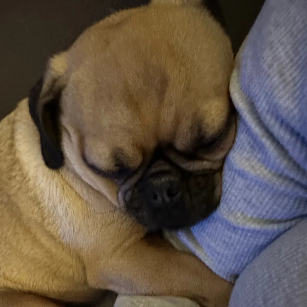 lotts.bsky.social's profile picture