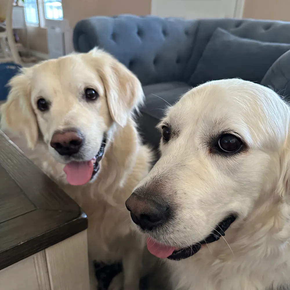 madradnsad.bsky.social's profile picture