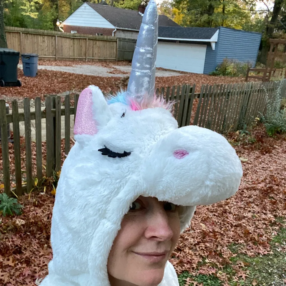 casscasso.bsky.social's profile picture