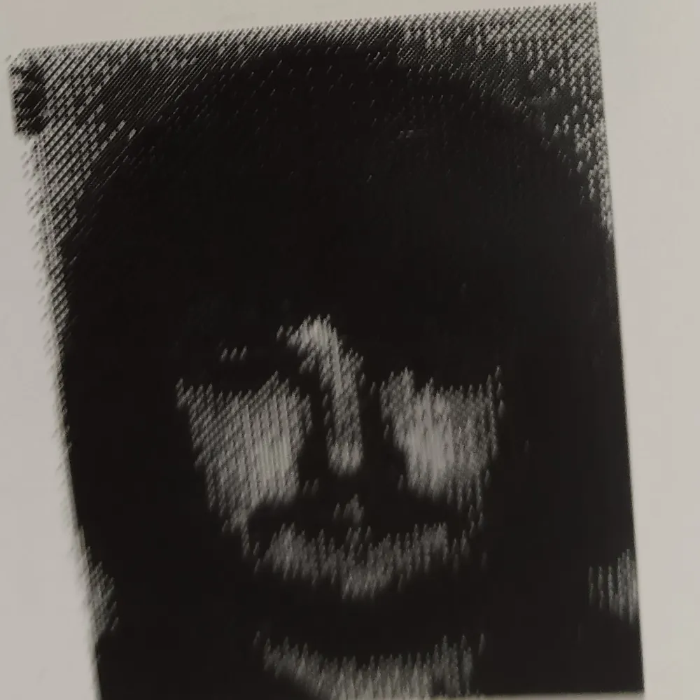 bumblebee-127.bsky.social's profile picture