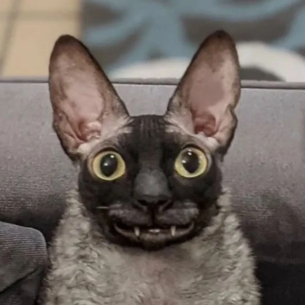 alexnovoselic.bsky.social's profile picture