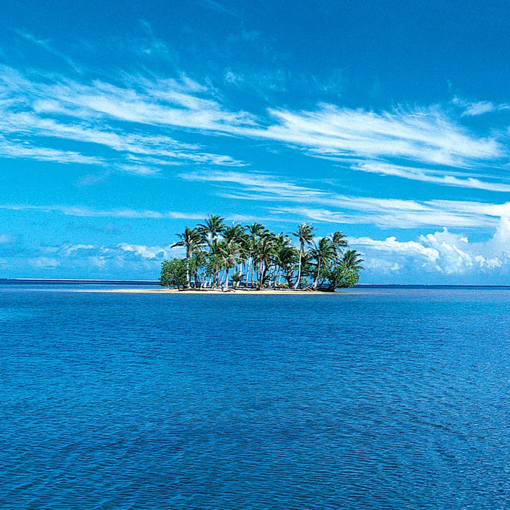 tomeco81.bsky.social's profile picture