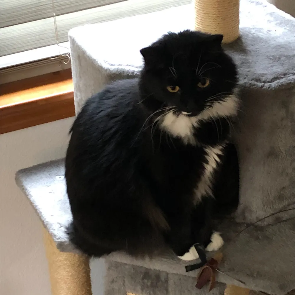 fevostherat.bsky.social's profile picture