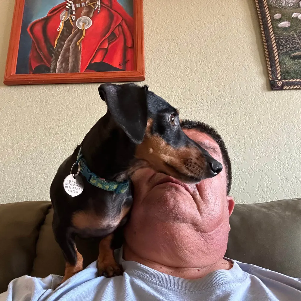 zendad.bsky.social's profile picture