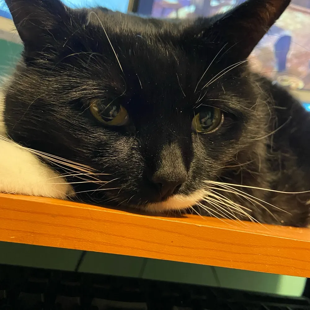 joef-3.bsky.social's profile picture