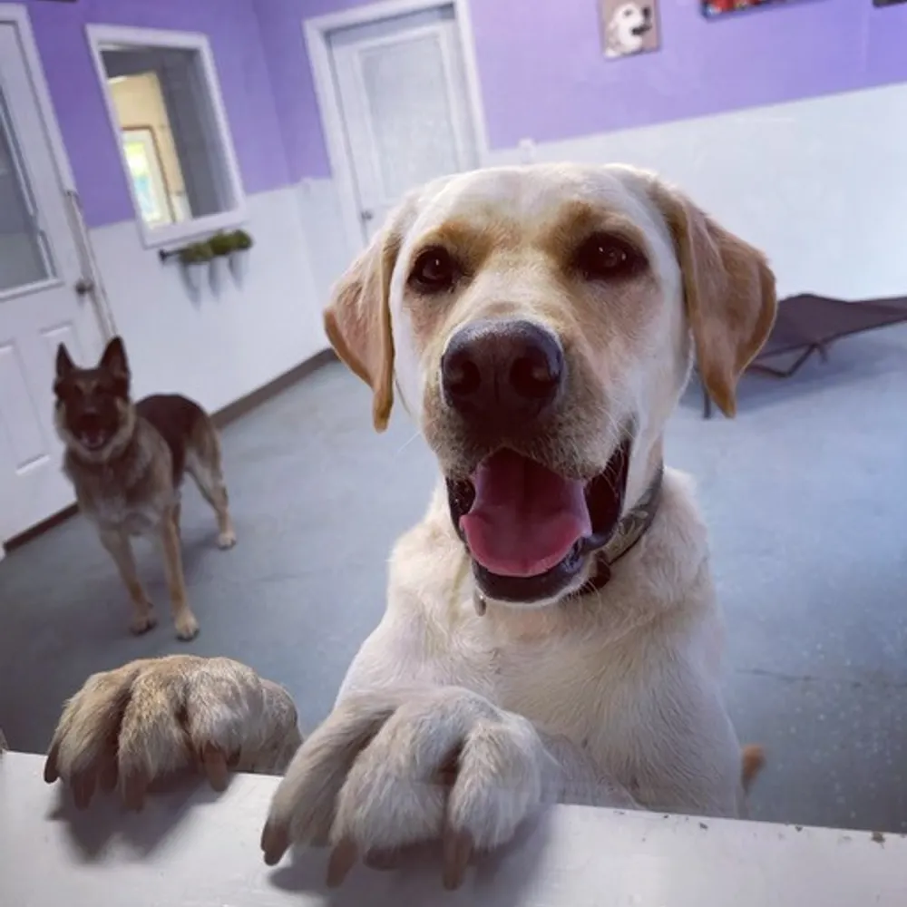 suegrinn.bsky.social's profile picture