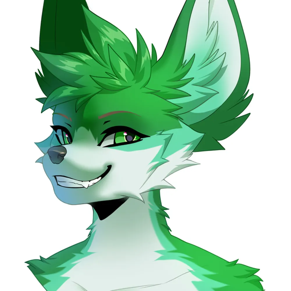 heikofennec.bsky.social's profile picture