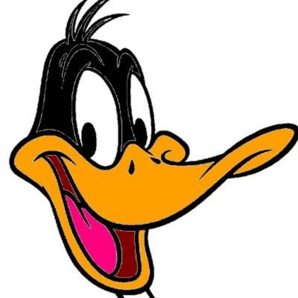 coctaanatis.bsky.social's profile picture