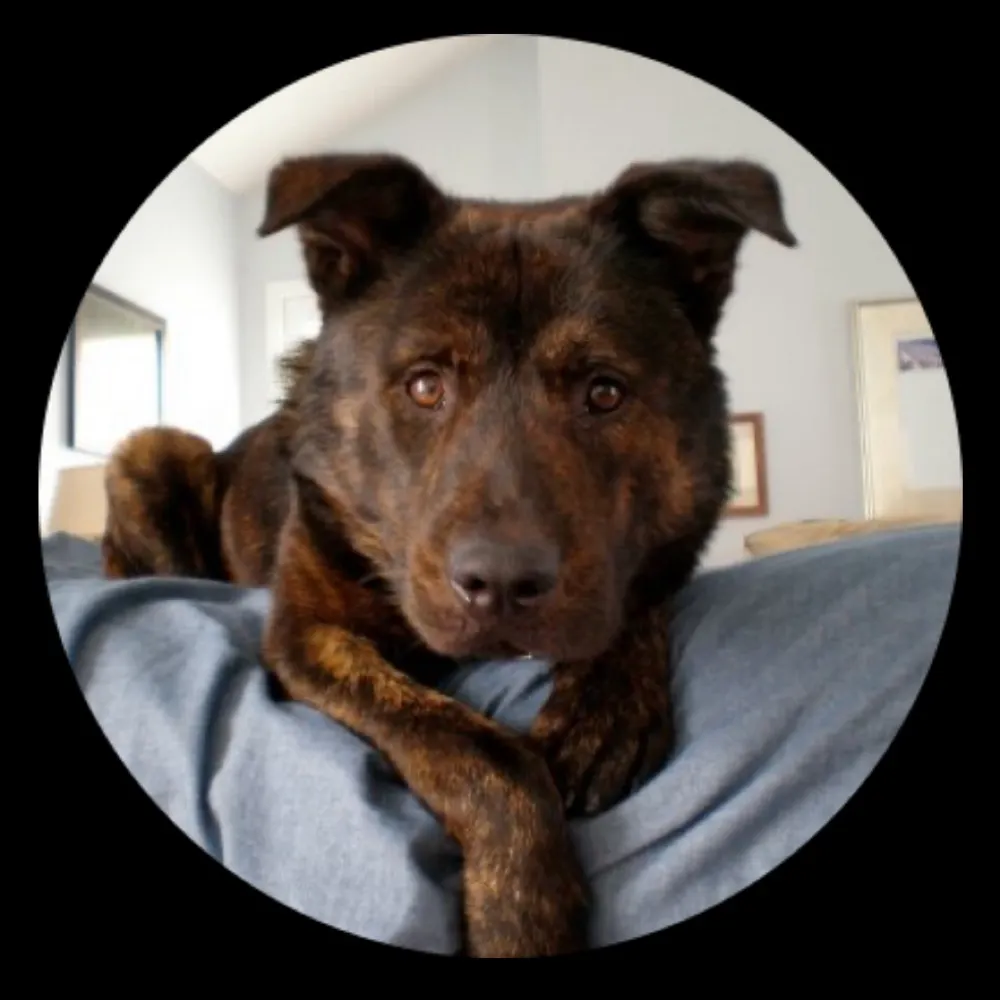 blunderalong.bsky.social's profile picture