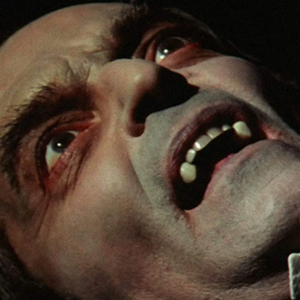 vampyros.bsky.social's profile picture