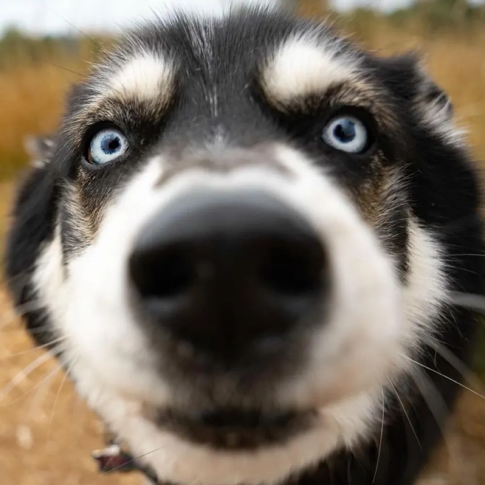 dtsellers.bsky.social's profile picture