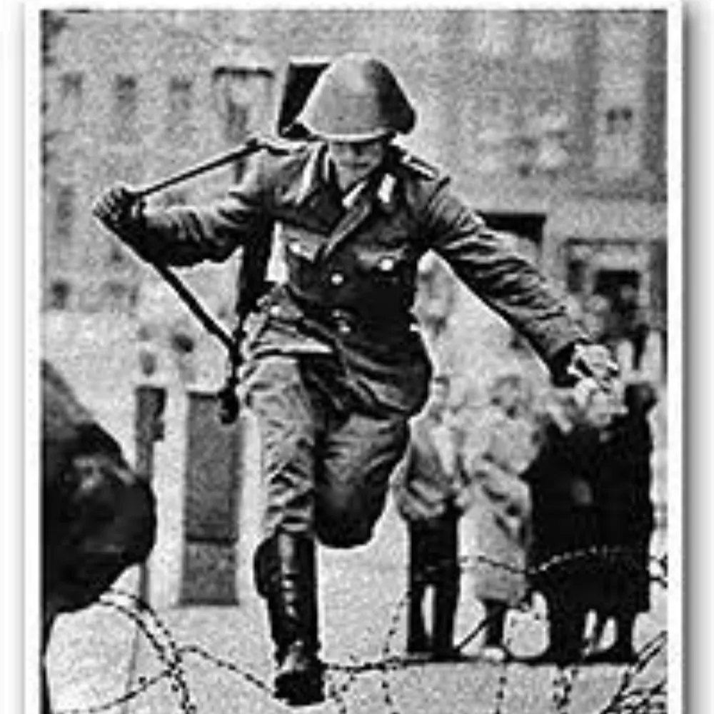 fincoot.bsky.social's profile picture