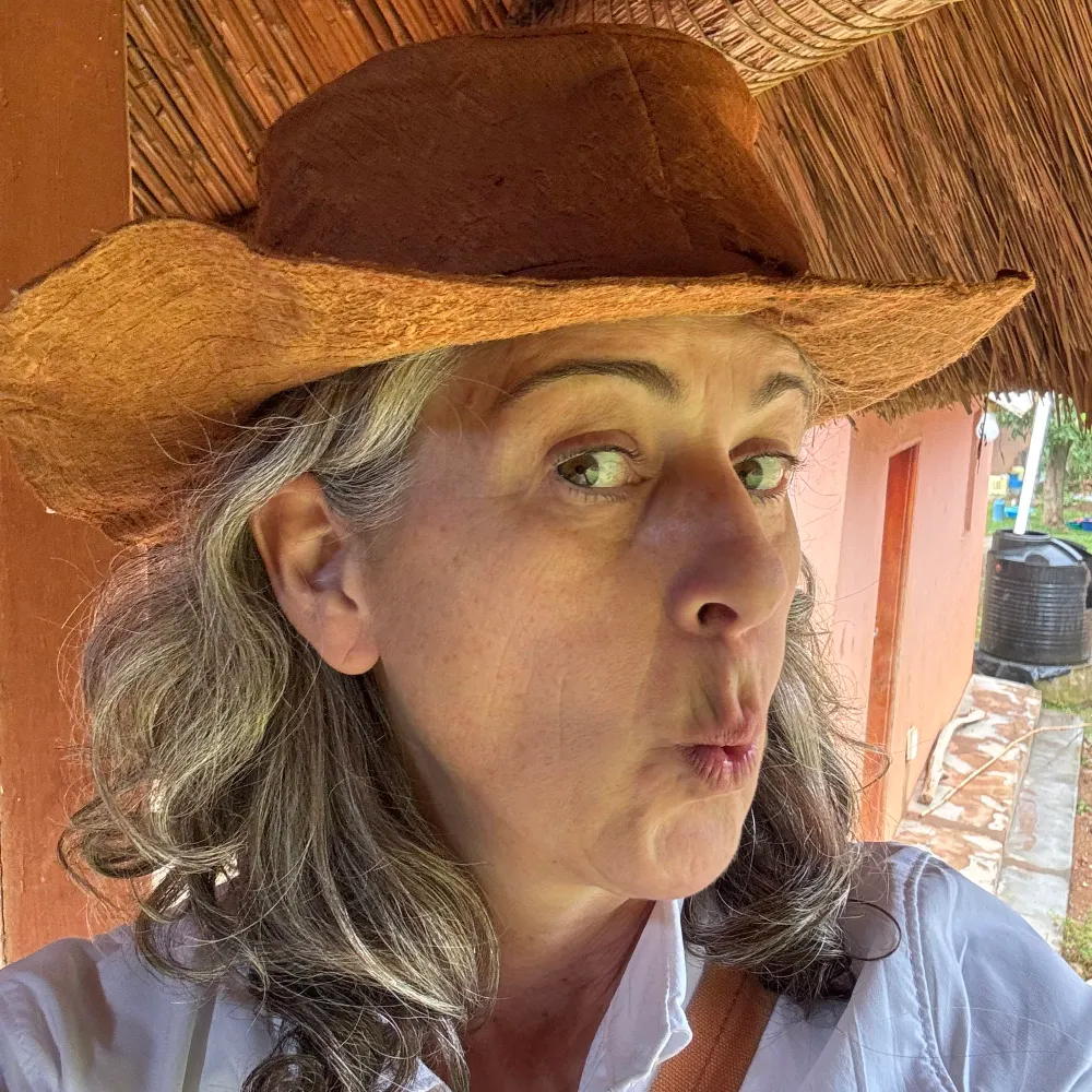 jtindahaus.bsky.social's profile picture