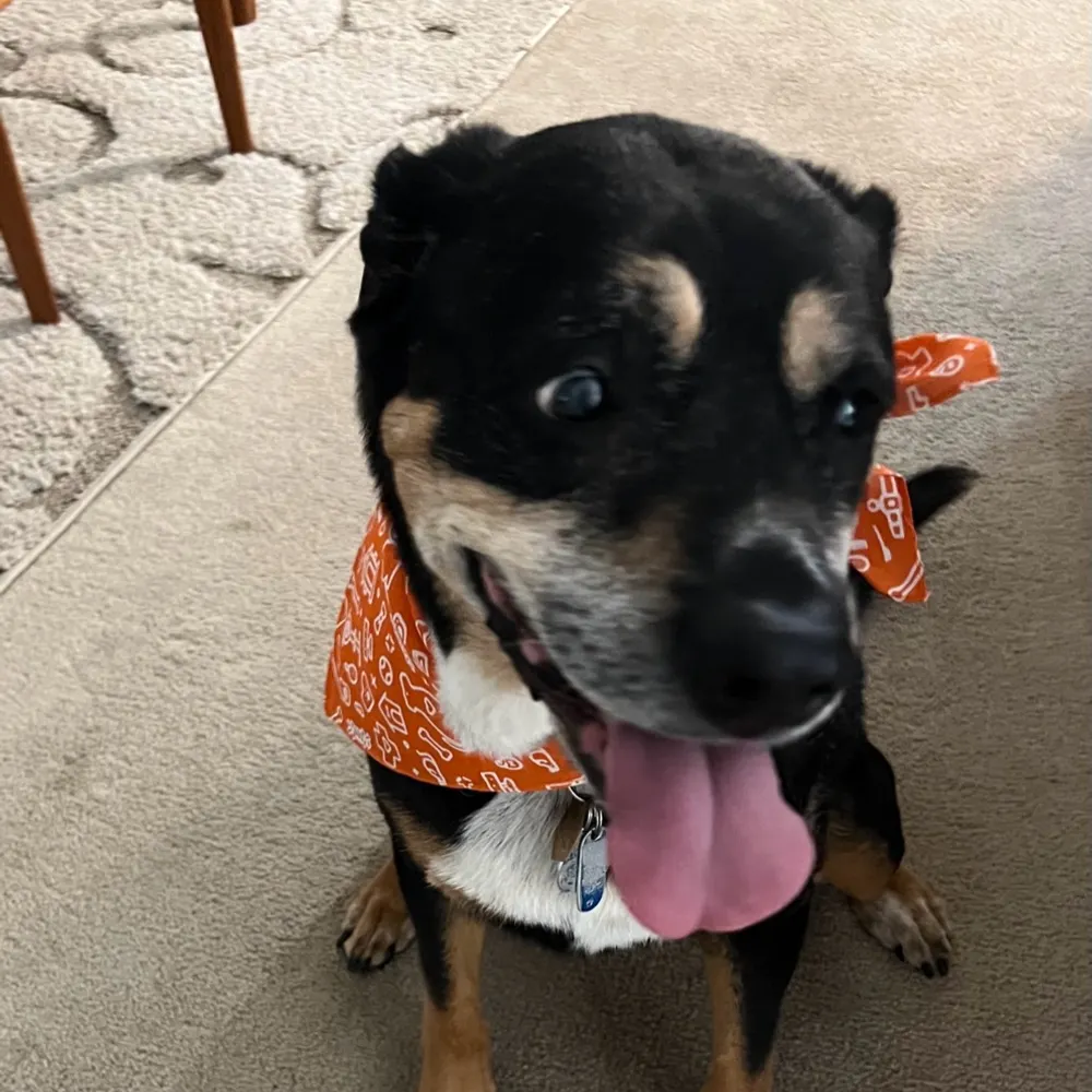 lauragbr.bsky.social's profile picture