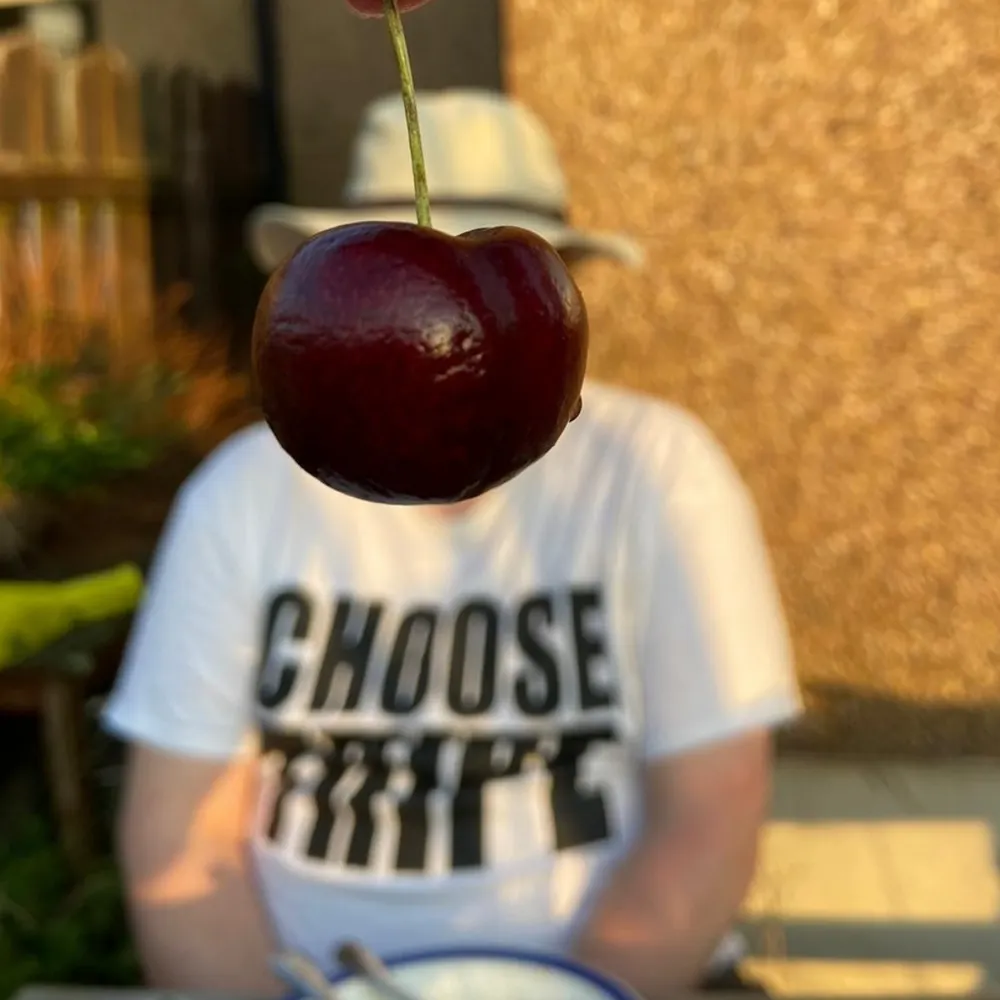 billhayden65.bsky.social's profile picture