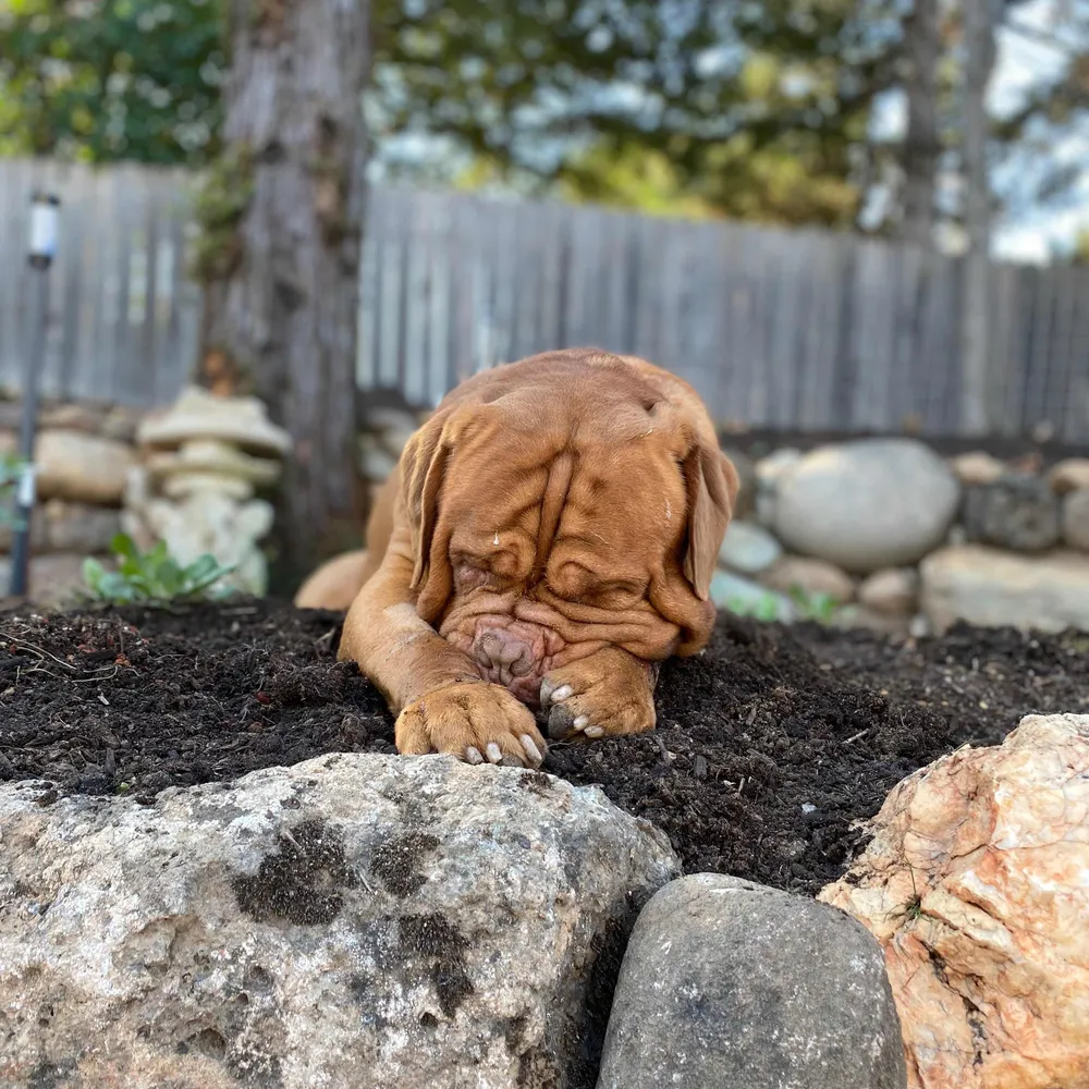 missbee3.bsky.social's profile picture