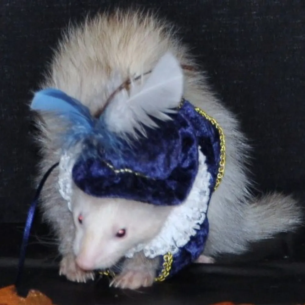 cabspuebla.bsky.social's profile picture