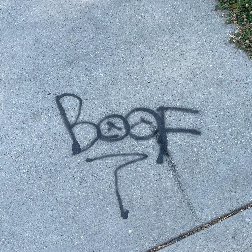 teamrecks.bsky.social's profile picture