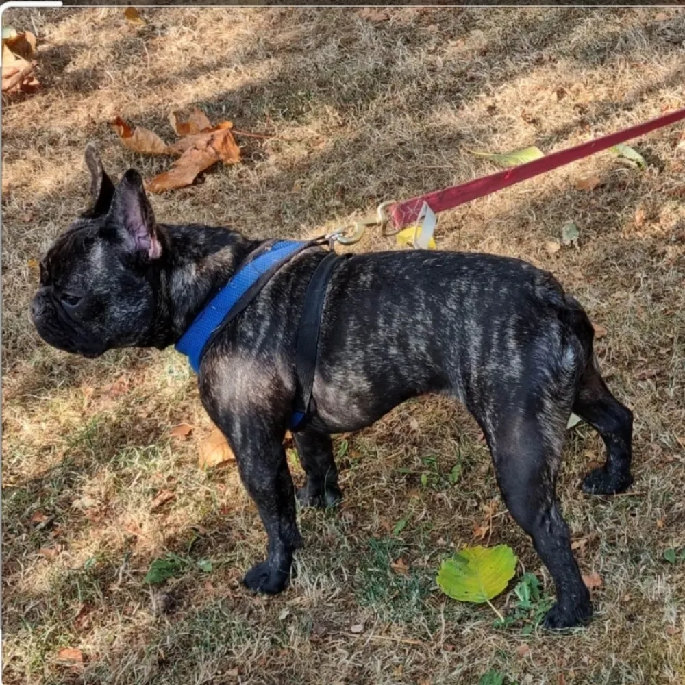 javajj.bsky.social's profile picture