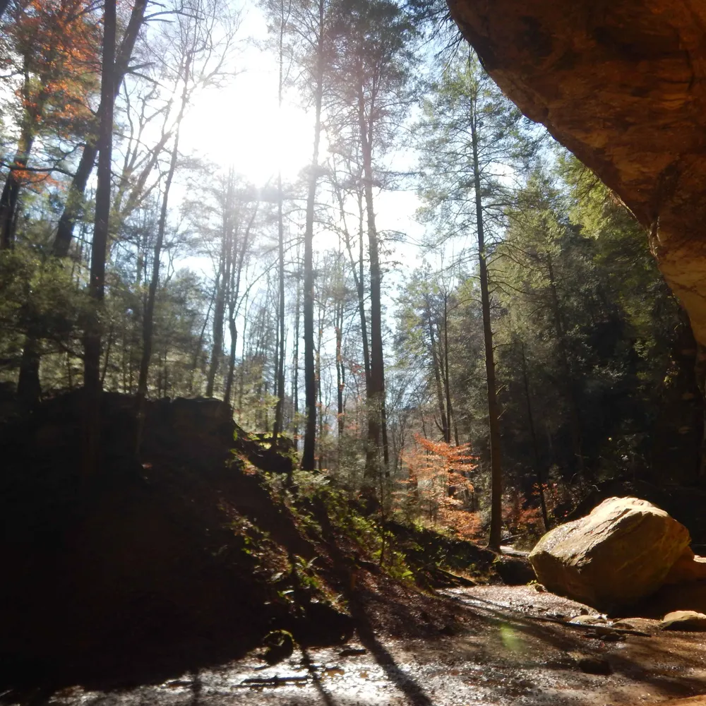 danamevans13.bsky.social's profile picture