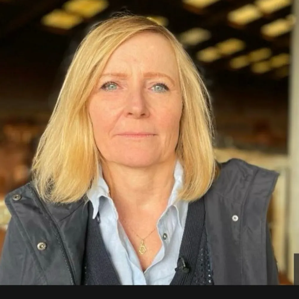 lizwebster.bsky.social's profile picture