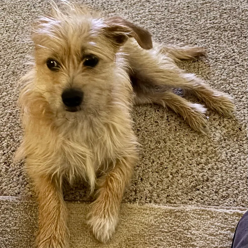 rayharry.bsky.social's profile picture