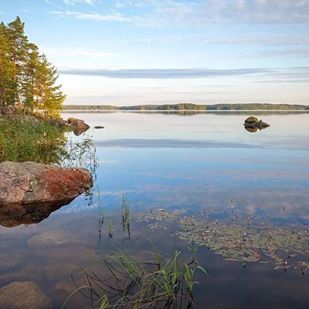 jonathan-e.bsky.social's profile picture