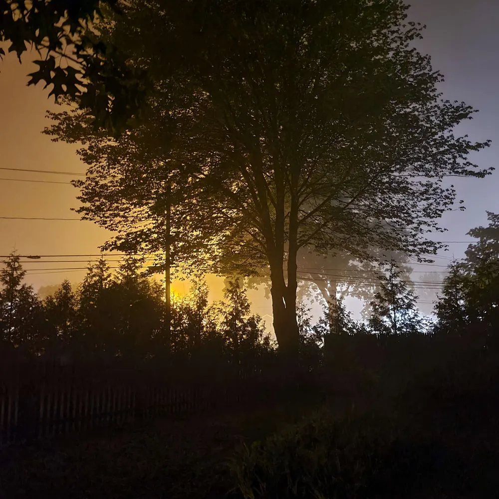 keithdonovan.bsky.social's profile picture