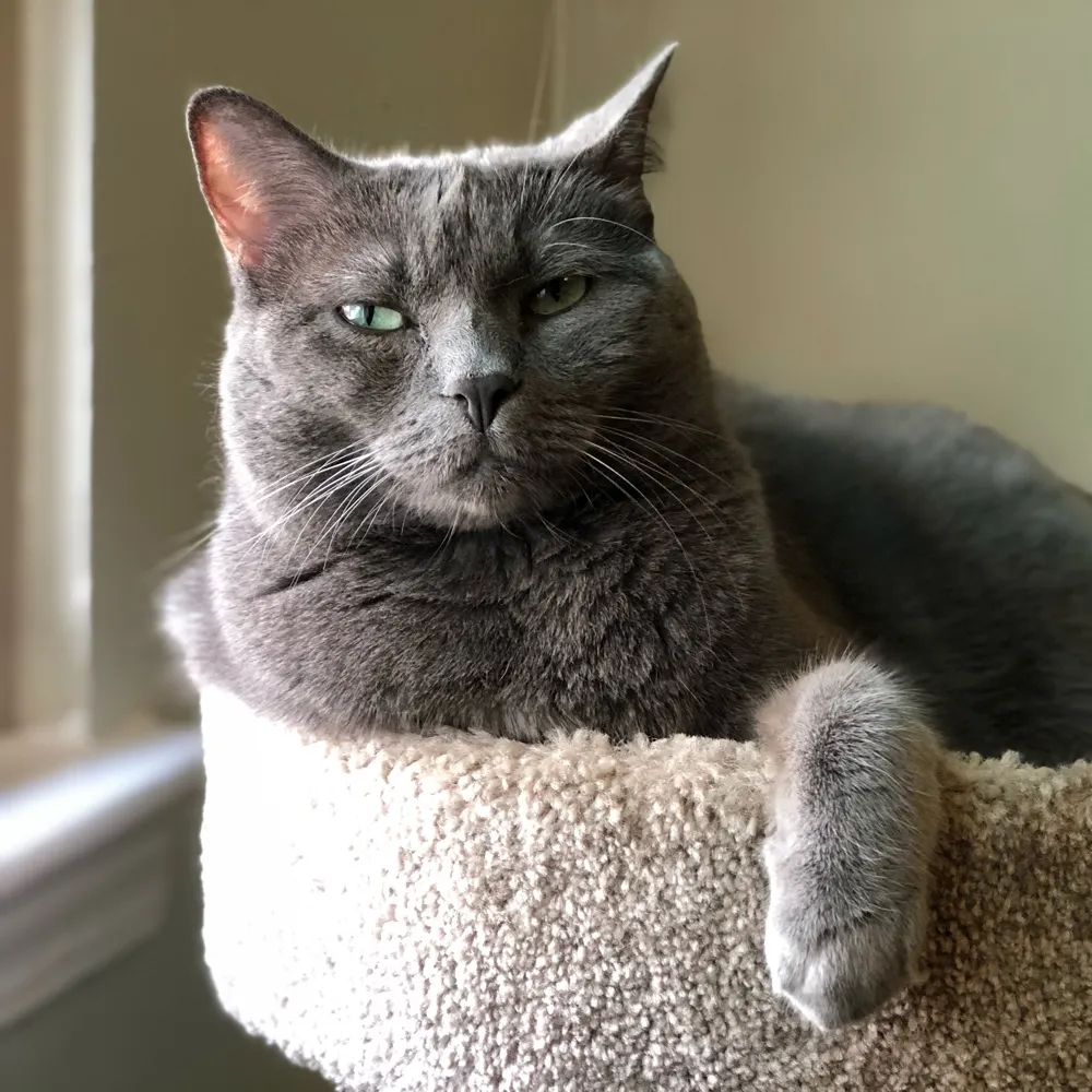 abbykoch.bsky.social's profile picture