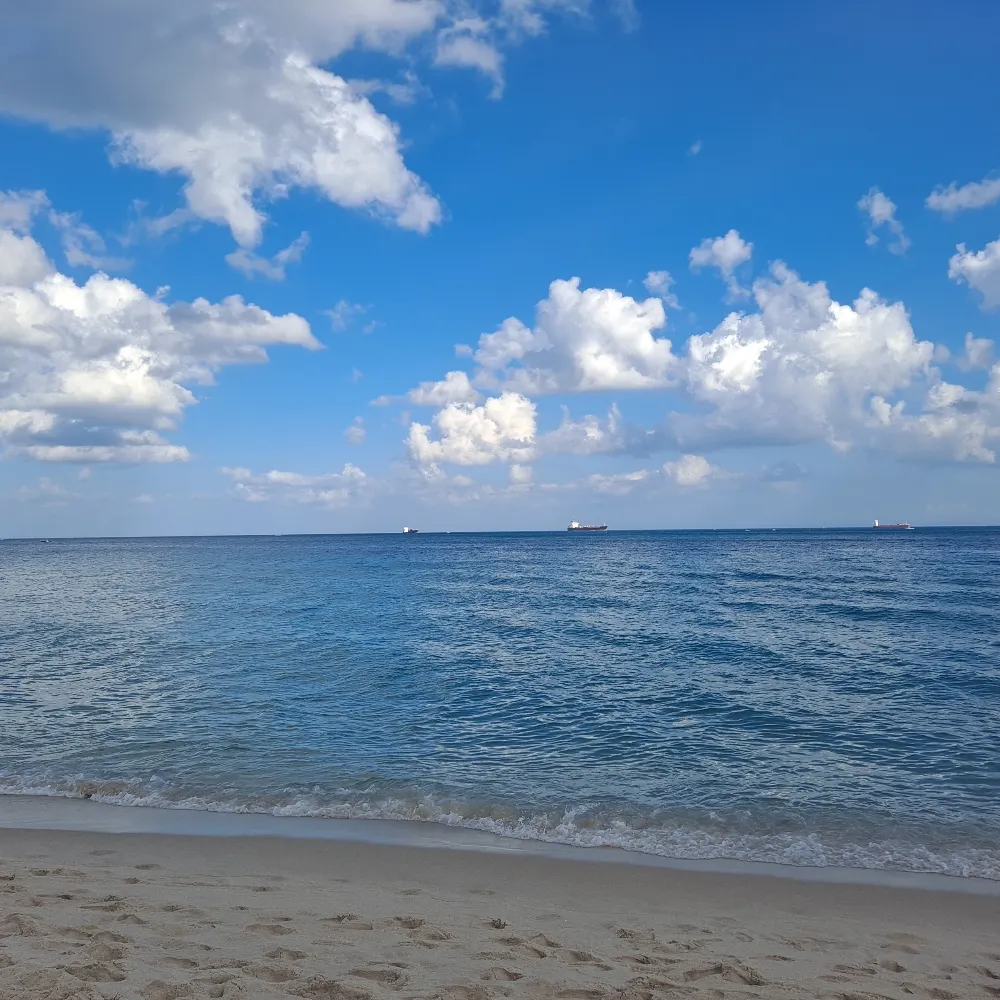 jukkis.bsky.social's profile picture