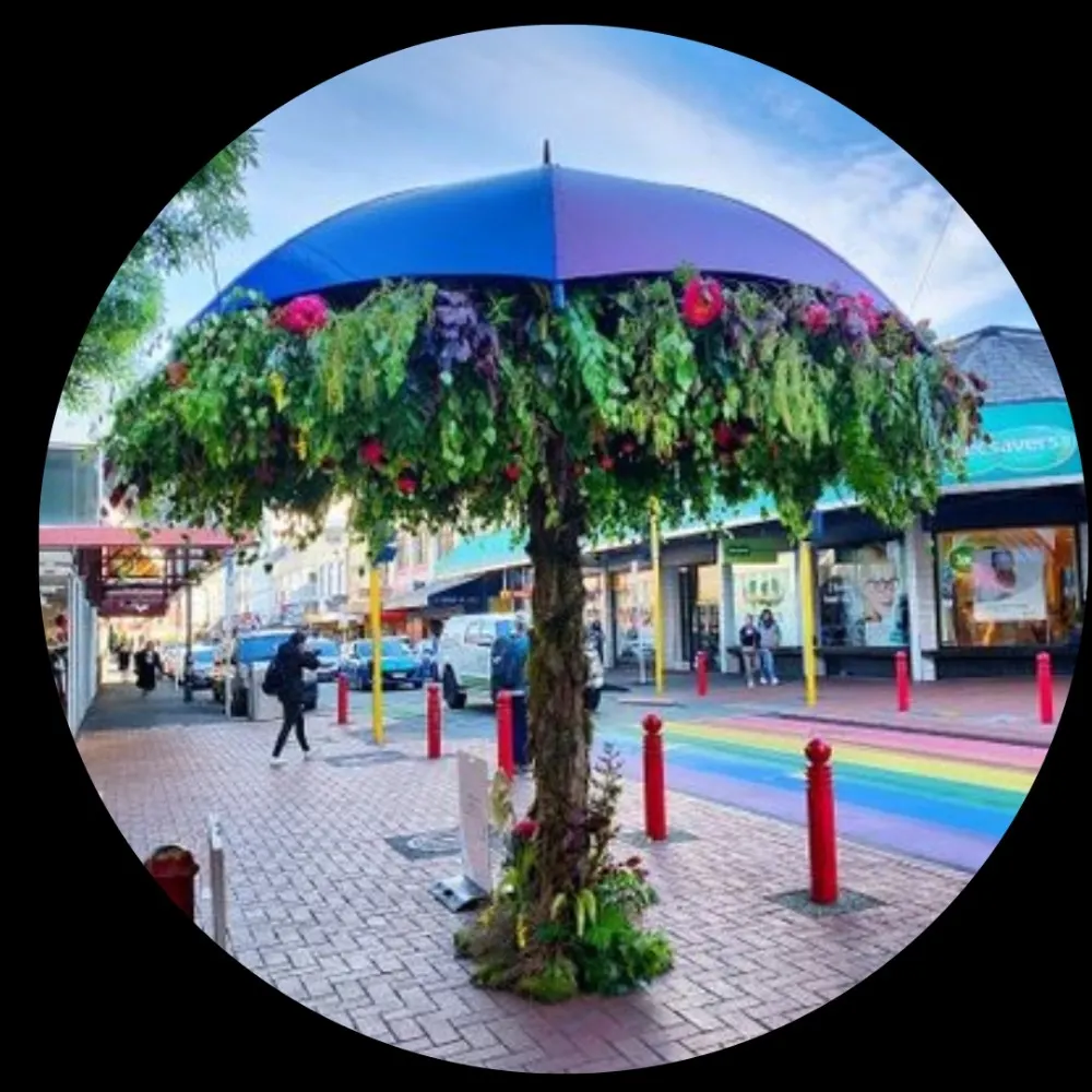 quellesurprisenz.bsky.social's profile picture