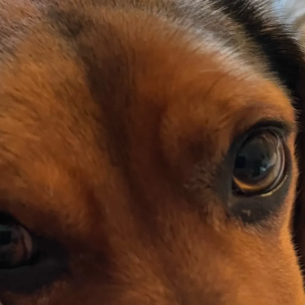 gjpart.bsky.social's profile picture