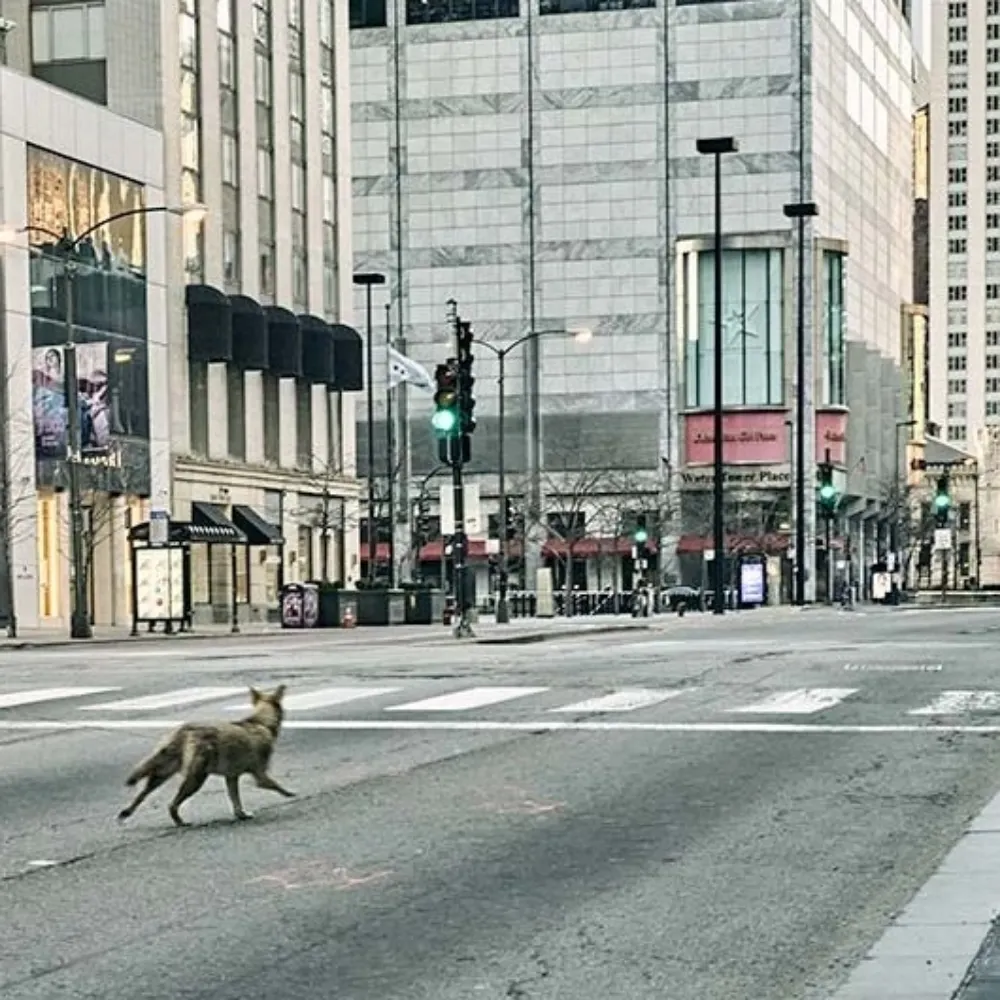 jamesetling.bsky.social's profile picture