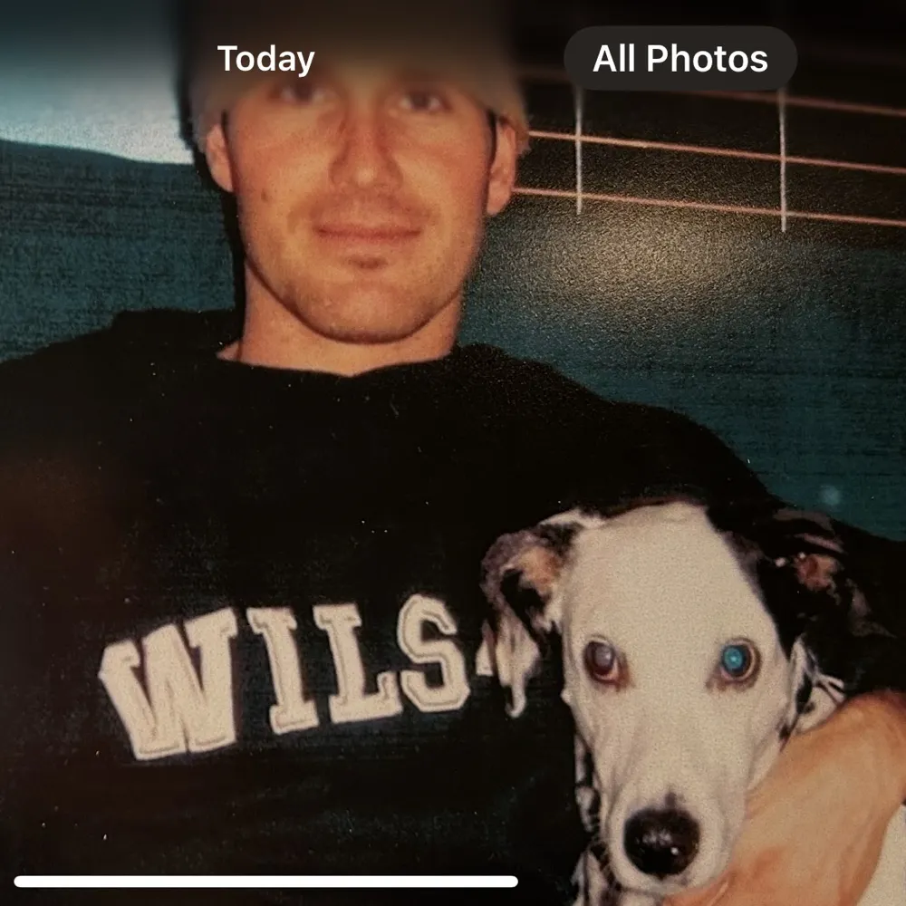 originalseahawk.bsky.social's profile picture