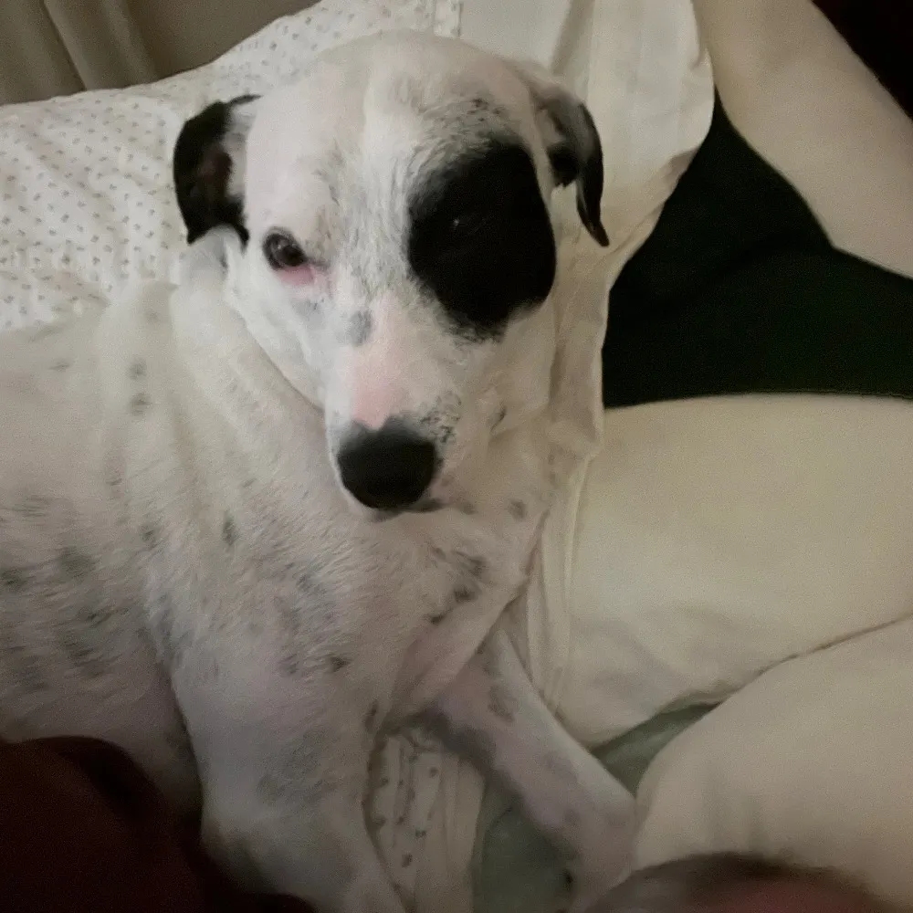 illimij.bsky.social's profile picture