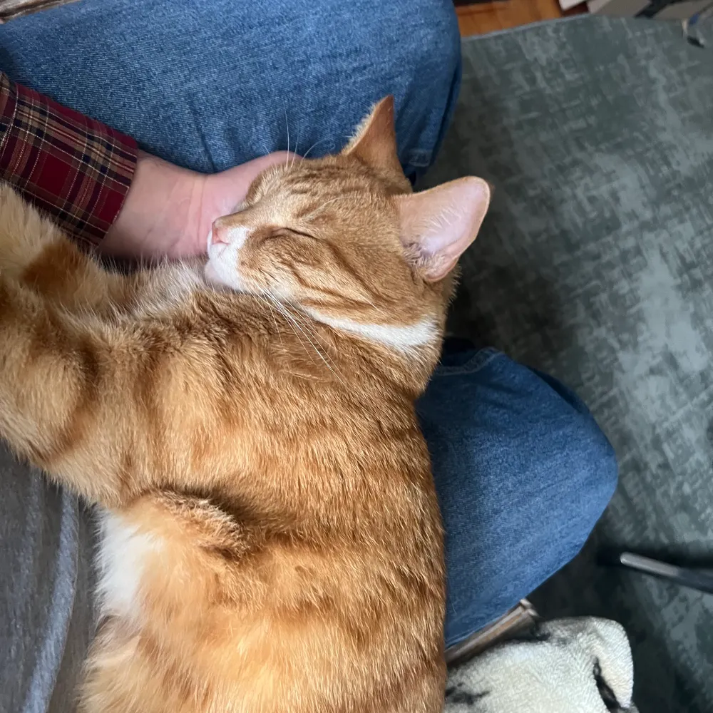 baltotrain.bsky.social's profile picture