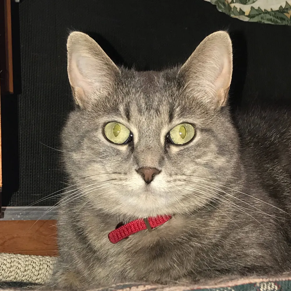 bonnietrek4455.bsky.social's profile picture