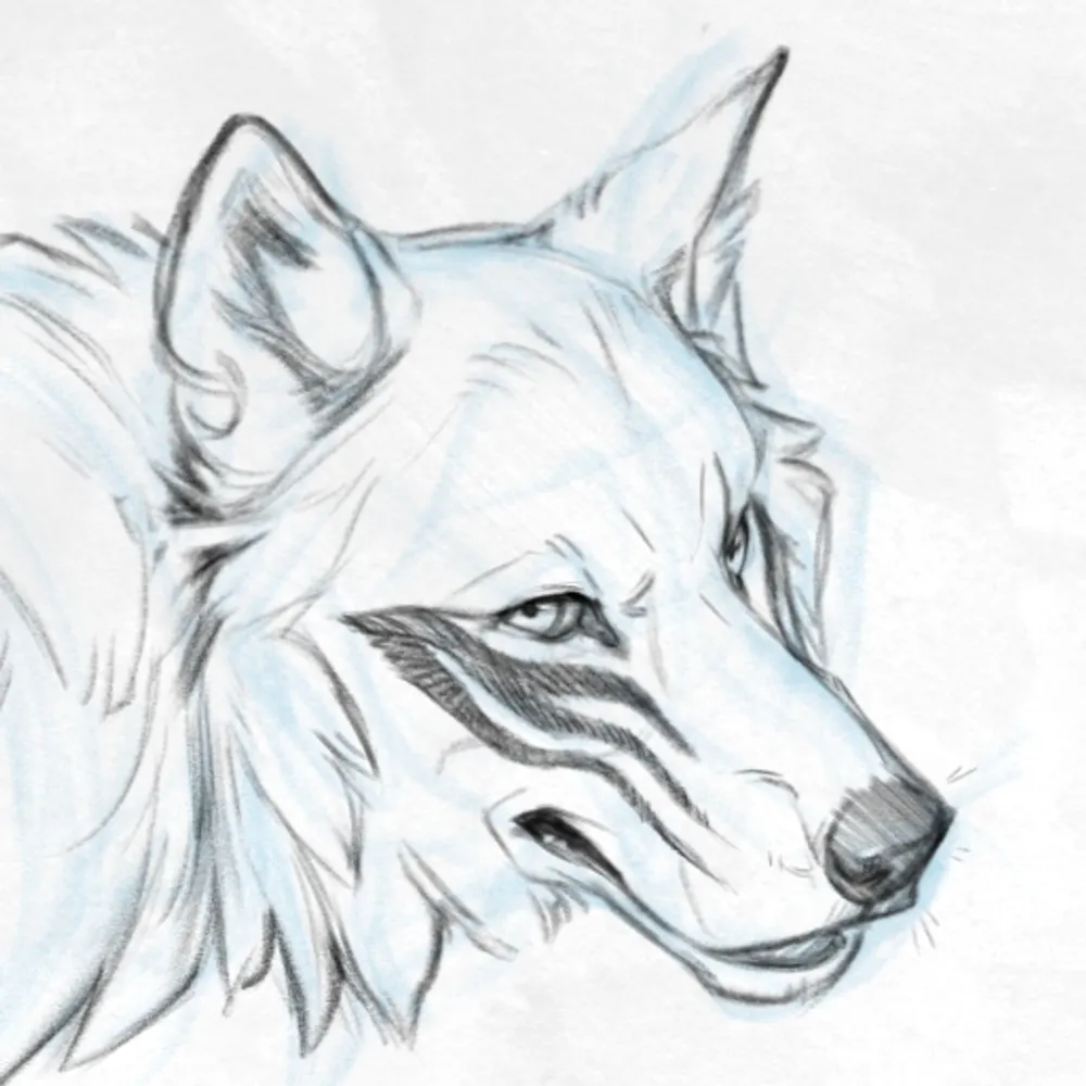 tehdeminz.bsky.social's profile picture