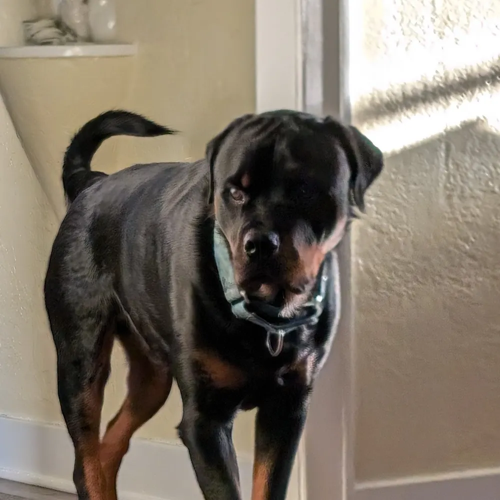 amyodeezy.bsky.social's profile picture