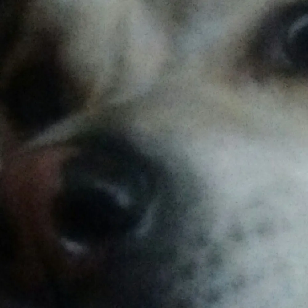 sirenicolas.bsky.social's profile picture