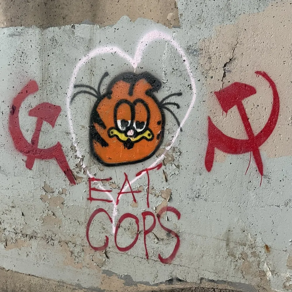 nicollyleite.bsky.social's profile picture