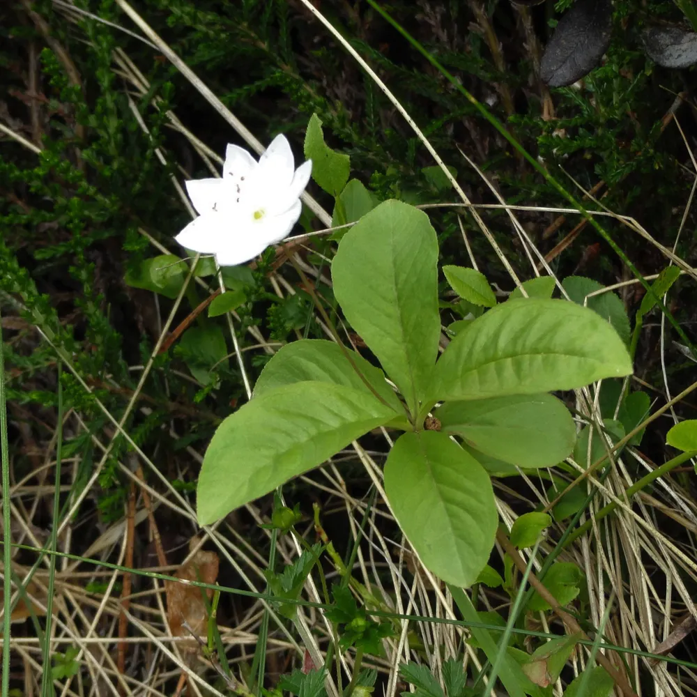 formerspring.bsky.social's profile picture